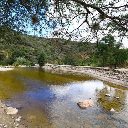 Destacada-Rio-Leon-600x600